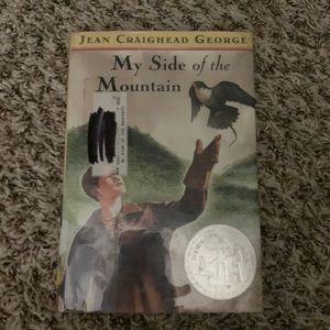 My side of the mountain book